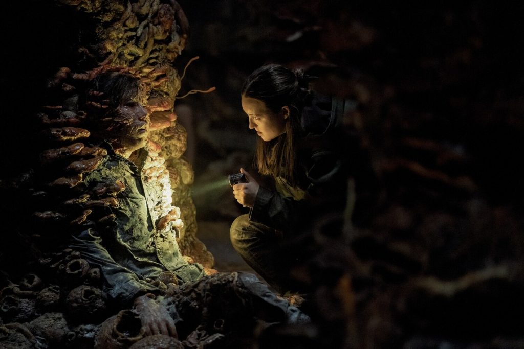 кадр из сериала the last of us
